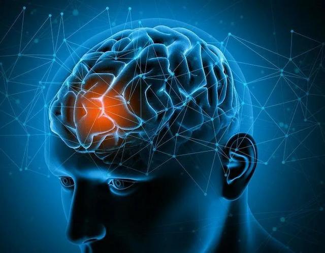 Does social progress depend on the evolution of the brain? - iNEWS