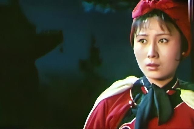 In addition to "shepherdess", Ding Lan has also participated in these ...