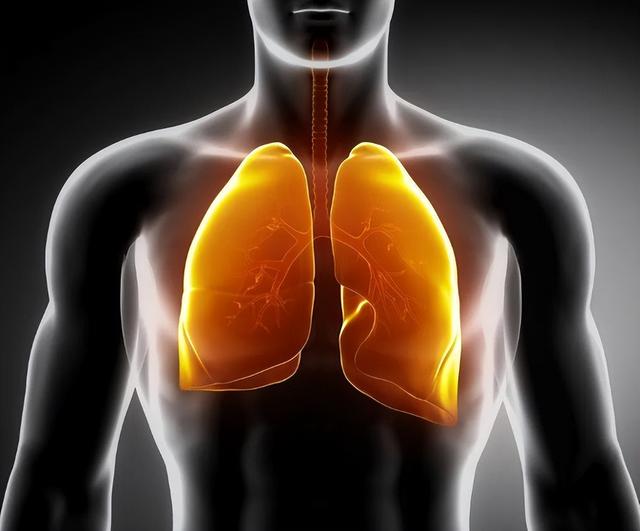 What is the effect of eating eggs for a long time on the lungs? 6
