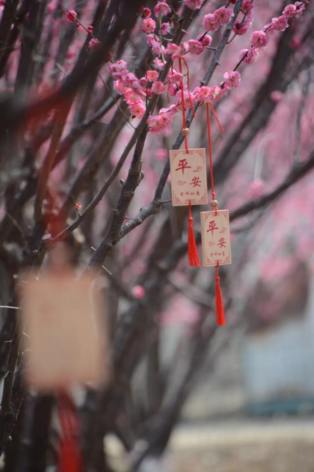 The same guest from the south of the Yangtze River, Yanshi ascended ...