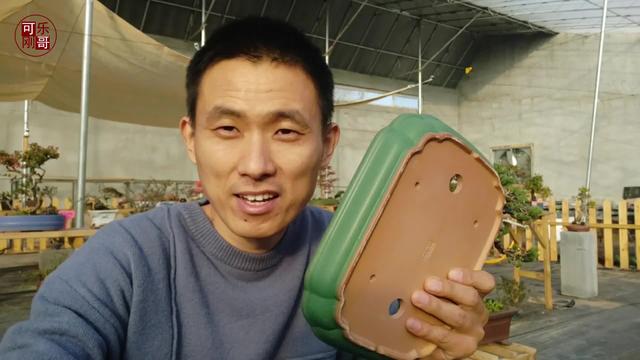 花盆多少钱(陶瓷花盆多少钱一个)