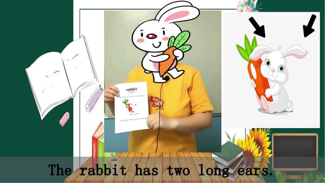 兔子用英语怎么说(兔子英语怎么说读发音)