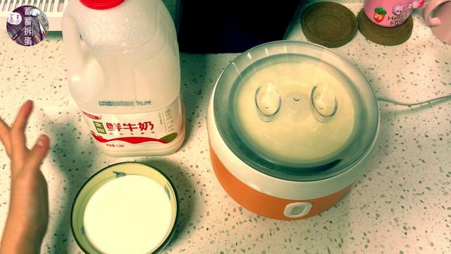 怎么用牛奶做酸奶纯牛奶做酸奶的步骤