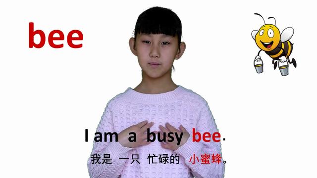 bee是什么意思(bee中文)
