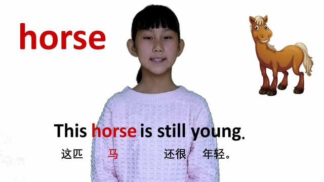 horses读音图片