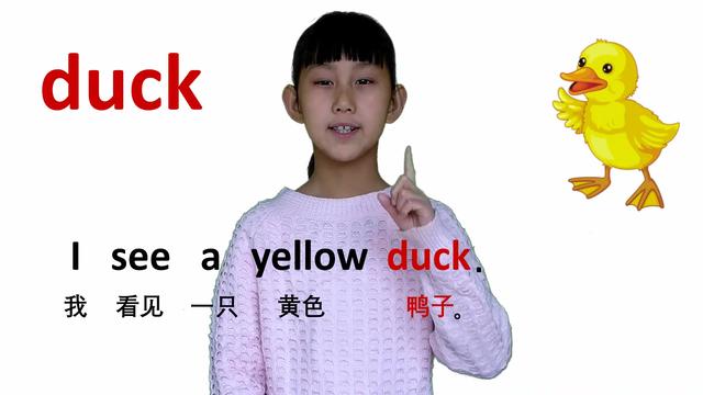 鸭子用英语怎么说呢(鸭子用英语怎么读)
