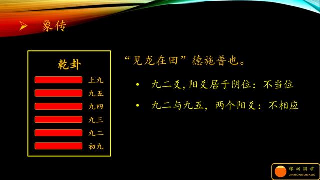 见龙在田是什么意思(潜龙在渊 见龙在田)