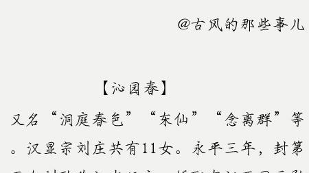 宋詞牌名有什么