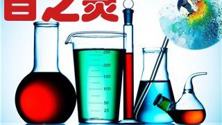 等效平衡同一物质的转化率相同吗