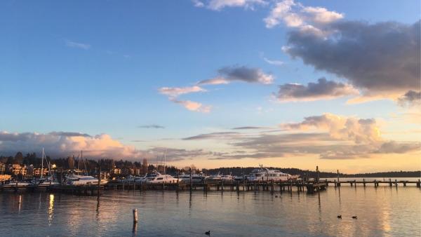 美国买家具的网站