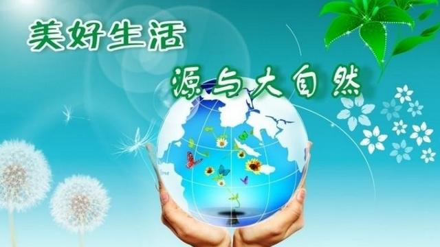 保护环境，人人有责