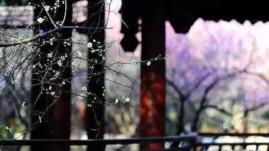 溫馨詩句