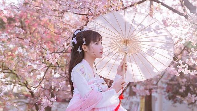 樱花的花语和代表的爱情是什么