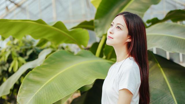 瑶草琪花成语解释
