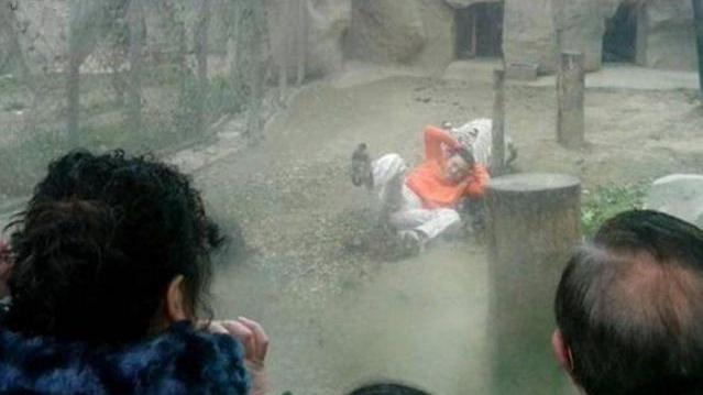 动物园应该存在吗