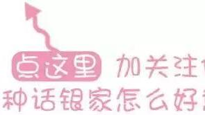 基层党建档卡资料