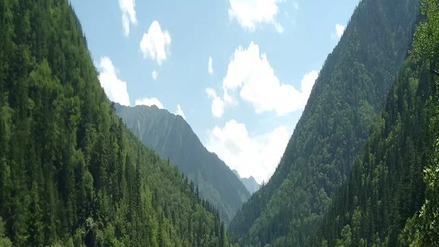 非主流伤感霸气句子大全