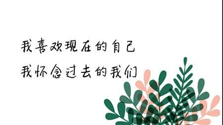 怀念以前自己瘦的文案