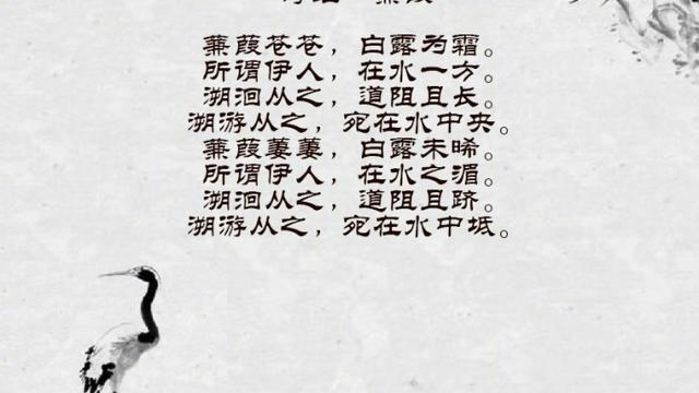 白露时节的诗词美文