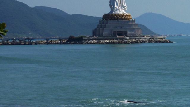 海口的气温和三亚的有无差异冬天哪里暖和点