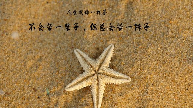 優美的詞句有哲理