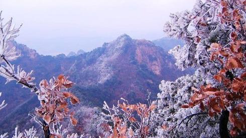 雪中即景优秀作文优秀（精选）