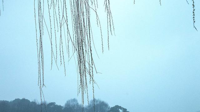 一川煙雨詩句