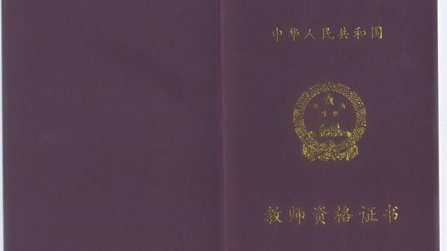 素质教育为什么促进学生全面发展的教育