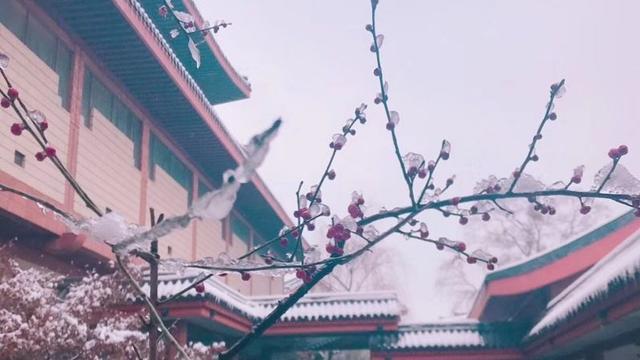 白雪古亭詩句