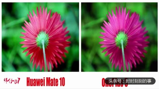 一加手机5和华为mate10哪个好