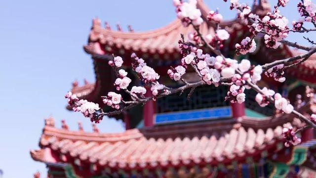 诗经中关于亲情的名言