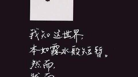 巧妙的詞句