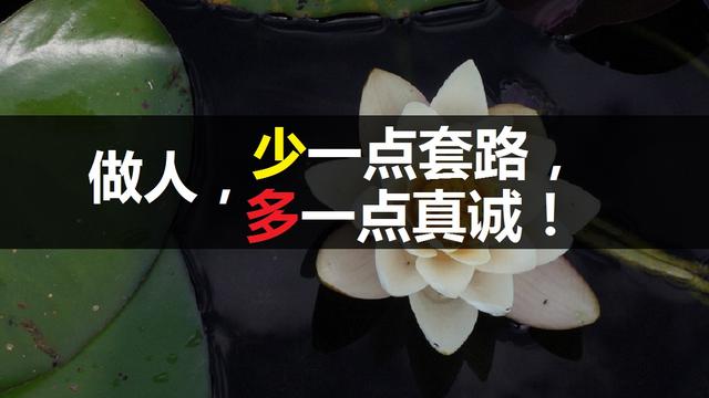 什么叫做真诚