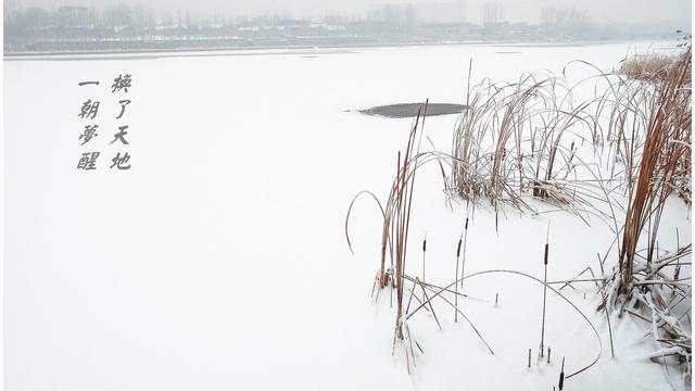 江雪你從哪些詞句可以讀出