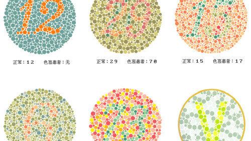 高考体检色弱可以报考哪些专业不可以报考哪些专业
