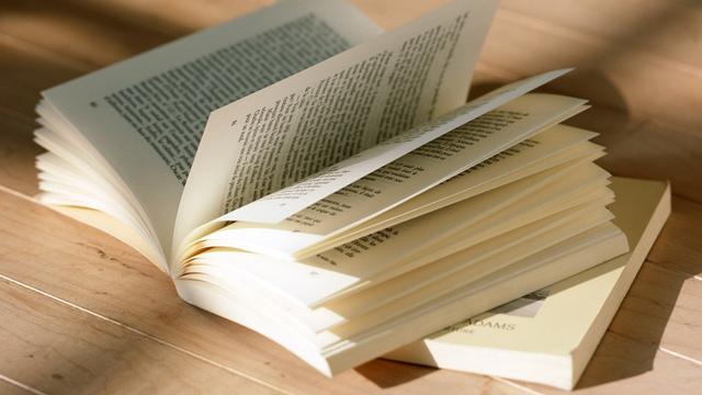 書中優美的詞句摘錄