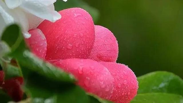 写落雨的古诗词