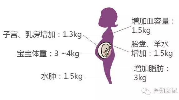 孕妇食谱及做法