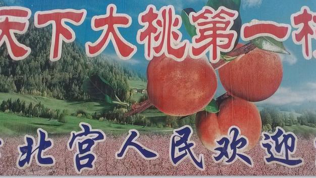 平谷,我的家乡作文（通用）
