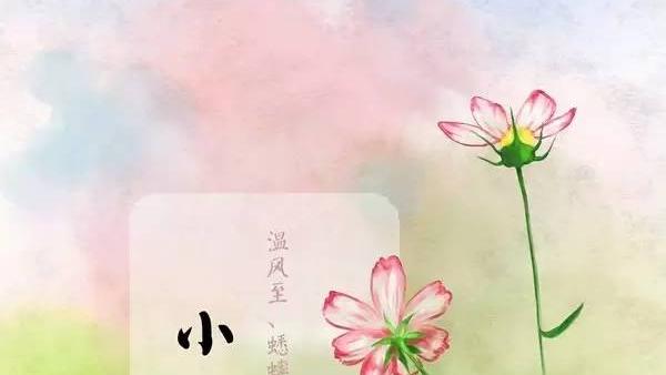 与24节气小暑有关的古诗词