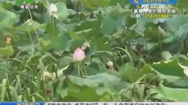 淮安自驾游攻略
