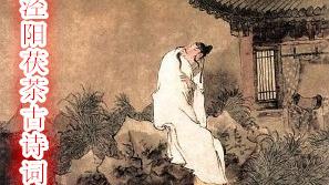 茯茶詩句