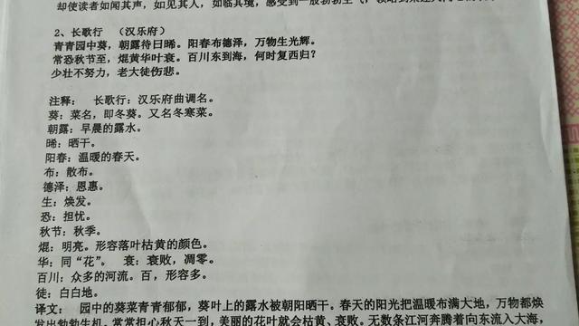 秋思张籍诗意简短