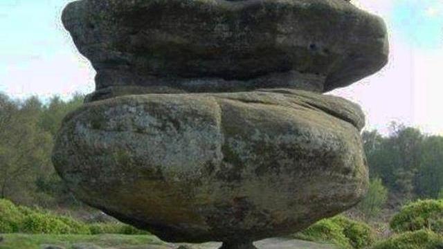 被霜打的樹葉詞句
