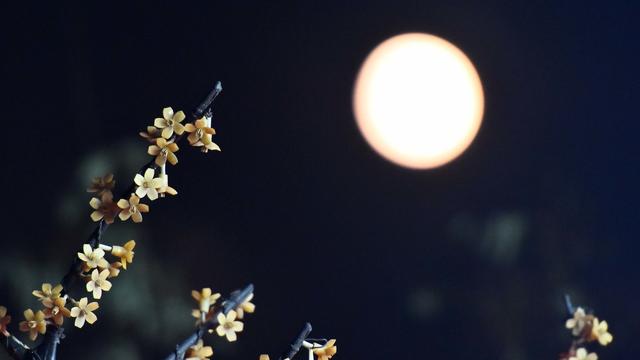 在尝试中成长作文800字初中