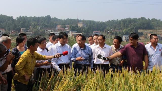 不同细胞质粳稻不育系的开花习性比较