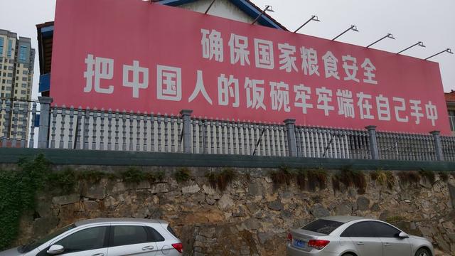 粮食安全生产宣传励志标语精选