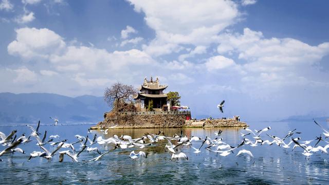 月之洱海的散文