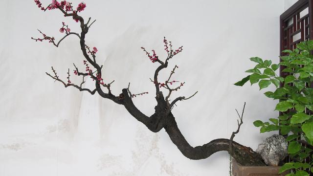 五年级21 古诗词三首教案设计
