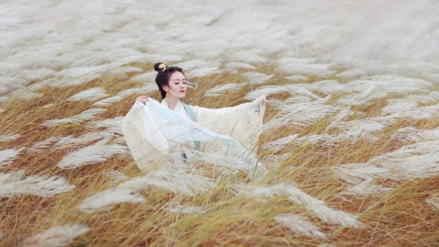关雎古诗词赏析视频